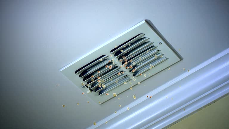 Air Duct Mold Removal in La Grange, IL