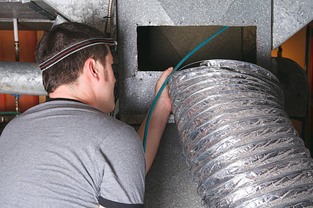 Best Air Duct Mold Removal  in La Grange, IL